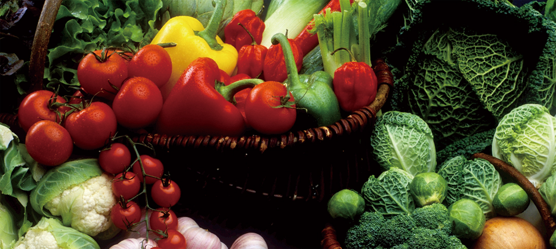 浙江宇達化工有限公司